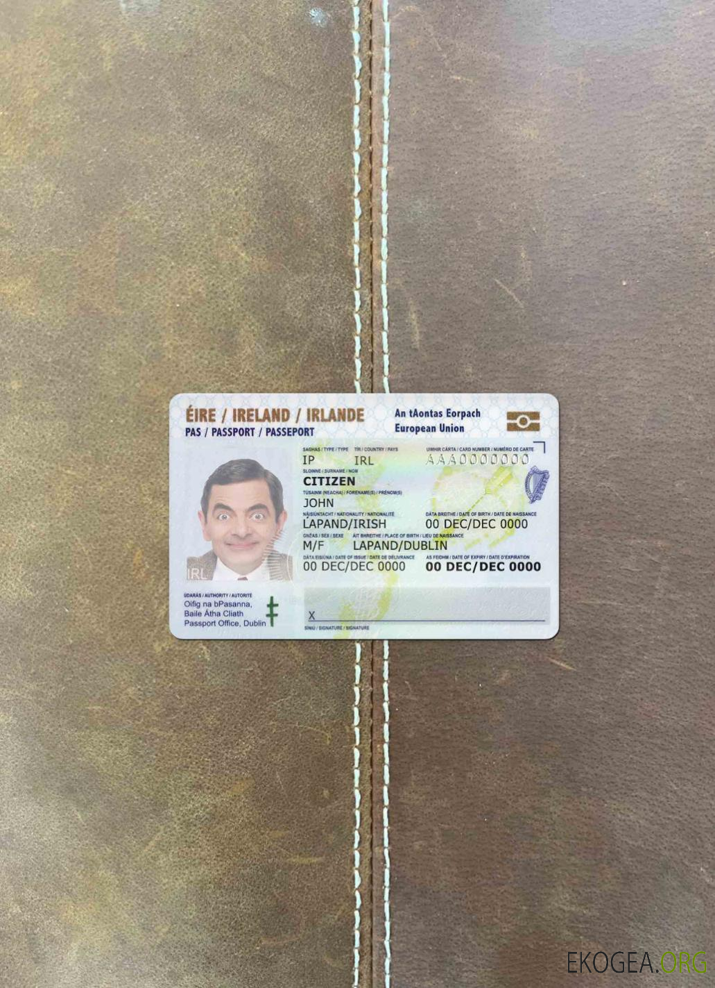 Photolook d'identité d'Irlande AVANT